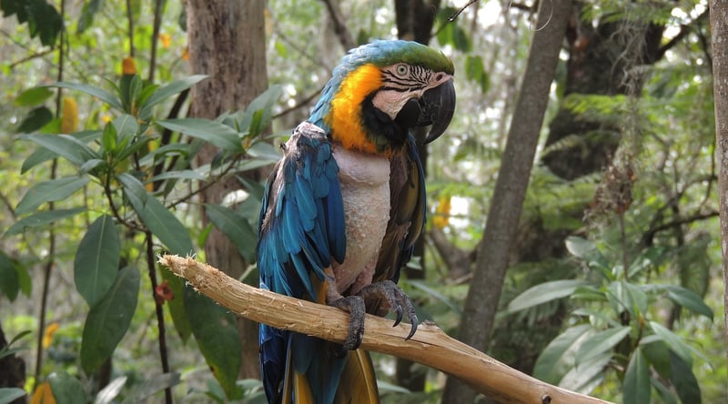 Barichara, Colombia