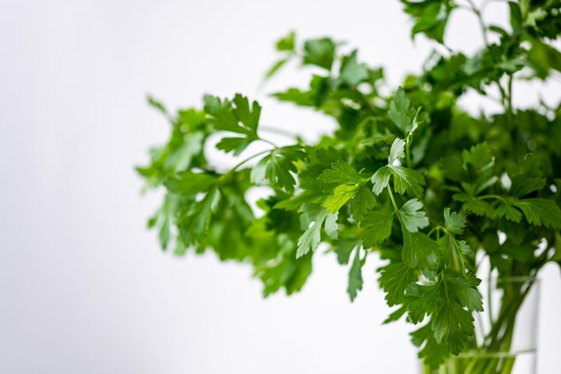 Culinary Discoveries